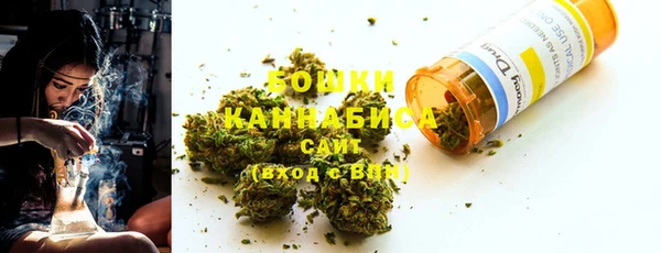 бошки Инта