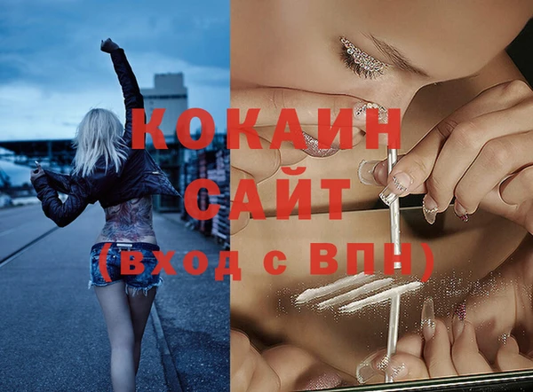 СК Каменка