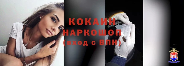 дживик Касимов