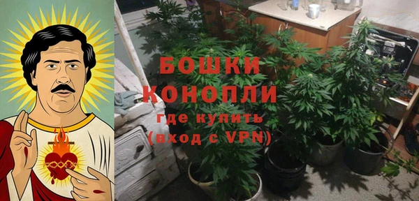 эйфоретик Иннополис