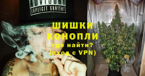 дживик Касимов