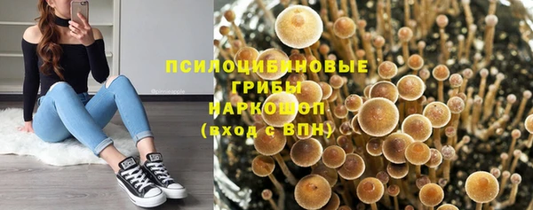 бошки Киреевск