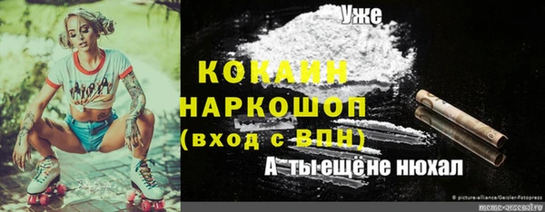 дживик Касимов