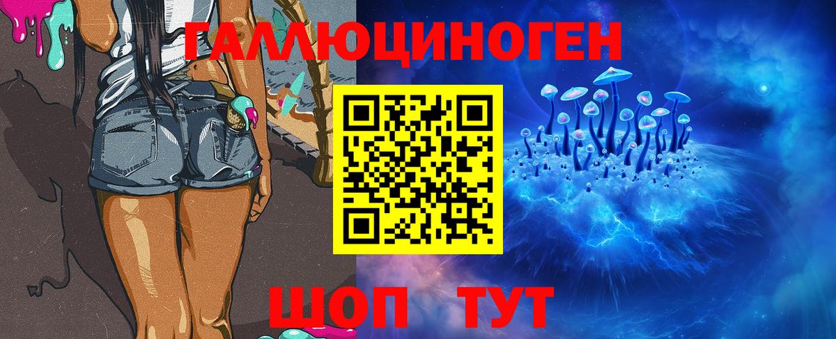 Гашиш Курчатов