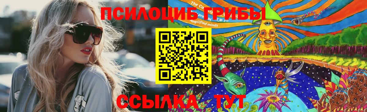 Курчатов  Псилоцибиновые грибы Magic Shrooms  сколько стоит  Вход с VPN 