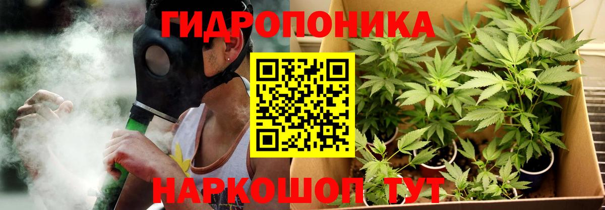 Шишки марихуана конопля Курчатов